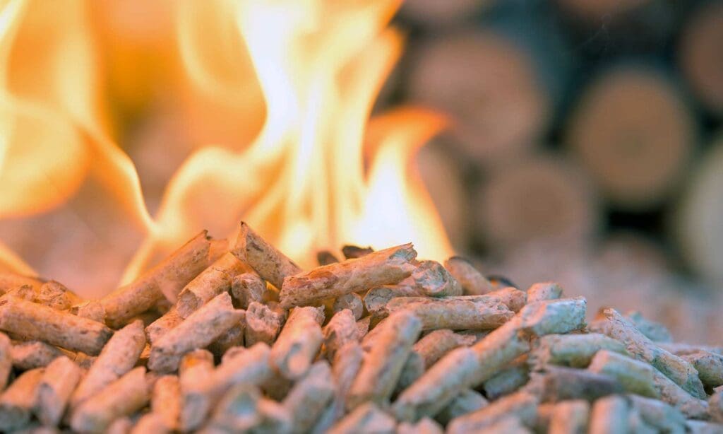 Biomassa: groene energie van de toekomst?